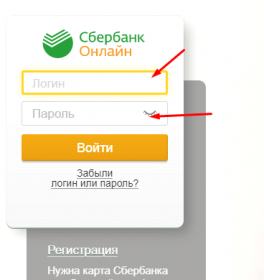 instruktsiya-po-oplate-obucheniya-ncfu.ru-01