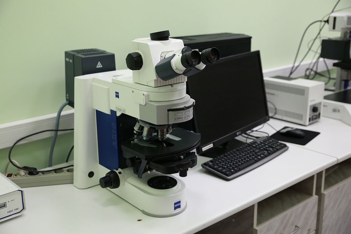 Mikroskop-Axio-Imager-A2.jpg