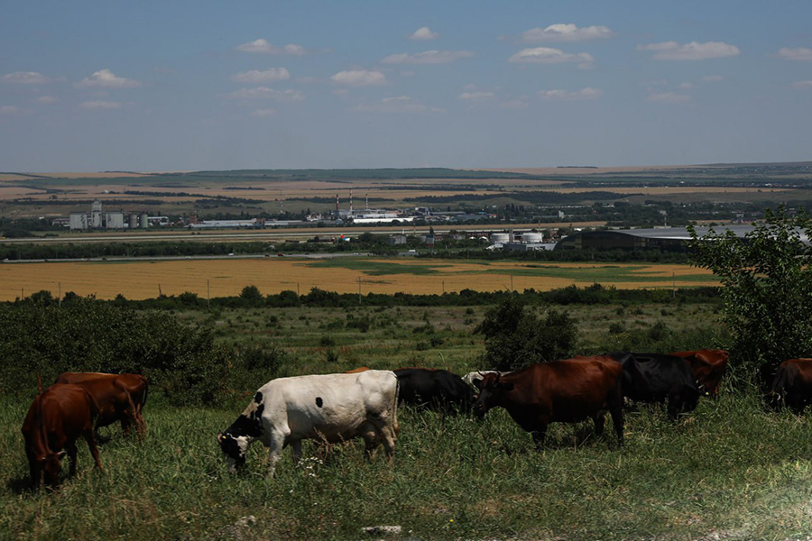 uchenye-skfu-razrabatyvayut-tekhnologiyu-uvelicheniya-molochnogo-zhivotnovodstva-ncfu-ru-01.jpg uchenye-skfu-razrabatyvayut-tekhnologiyu-uvelicheniya-molochnogo-zhivotnovodstva-ncfu-ru-01.jpg