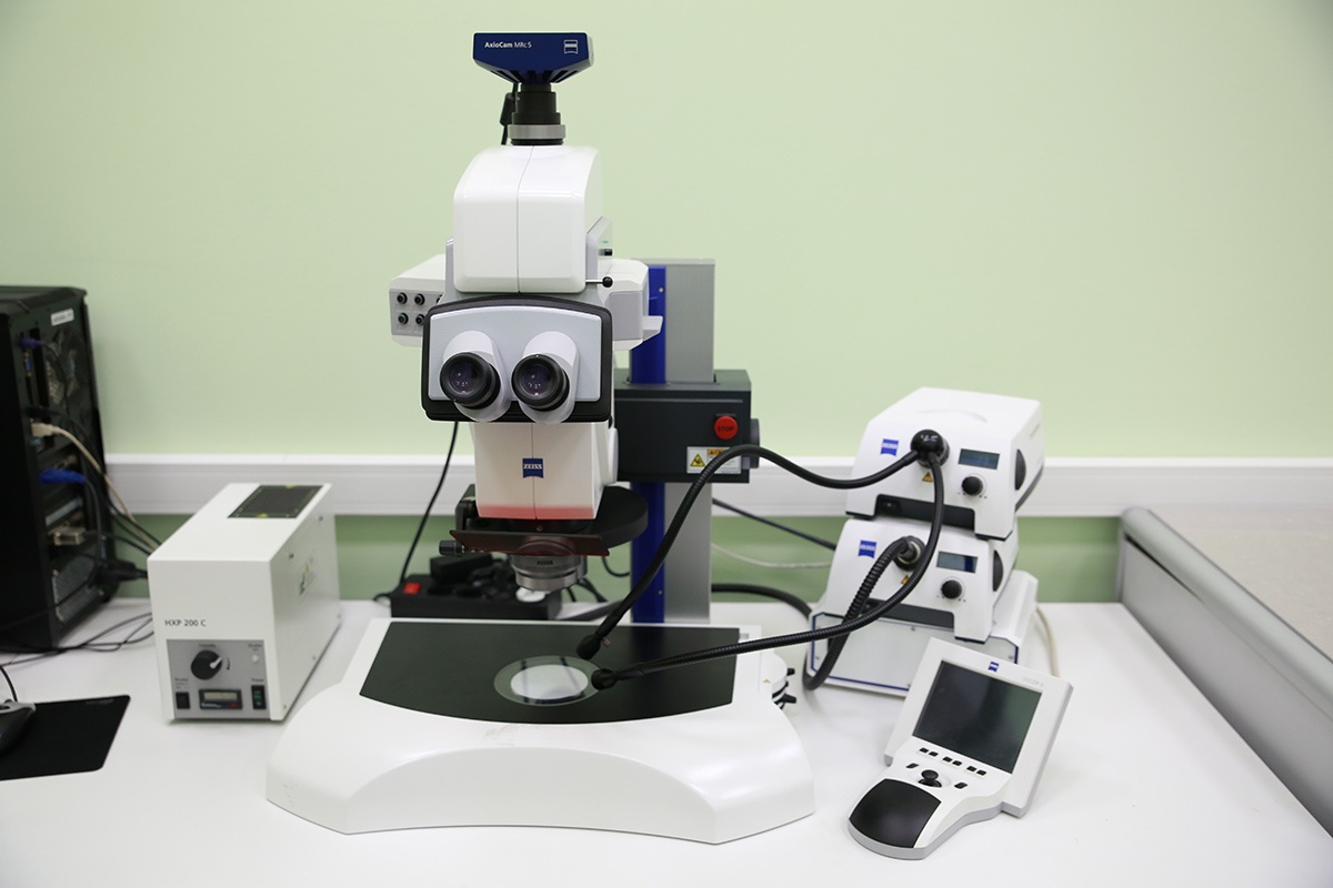 Mikroskop-Axio-Zoom-V162.jpg