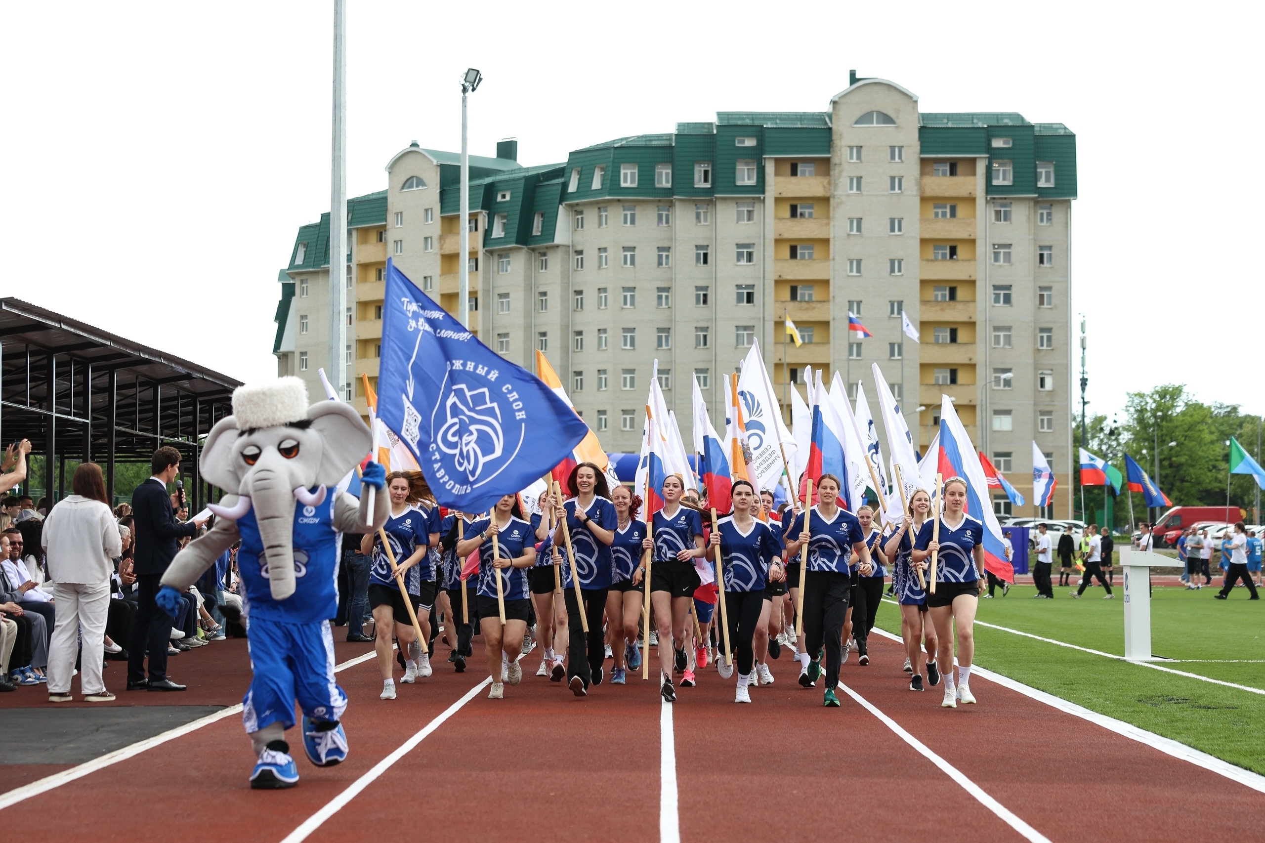 begovoy-klub-yuzhnyy-slon-skfu-start-otkrytykh-trenirovok-dlya-studentov (1).jpeg begovoy-klub-yuzhnyy-slon-skfu-start-otkrytykh-trenirovok-dlya-studentov (1).jpeg
