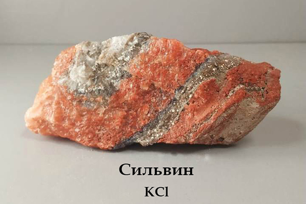 Сильвин.jpg