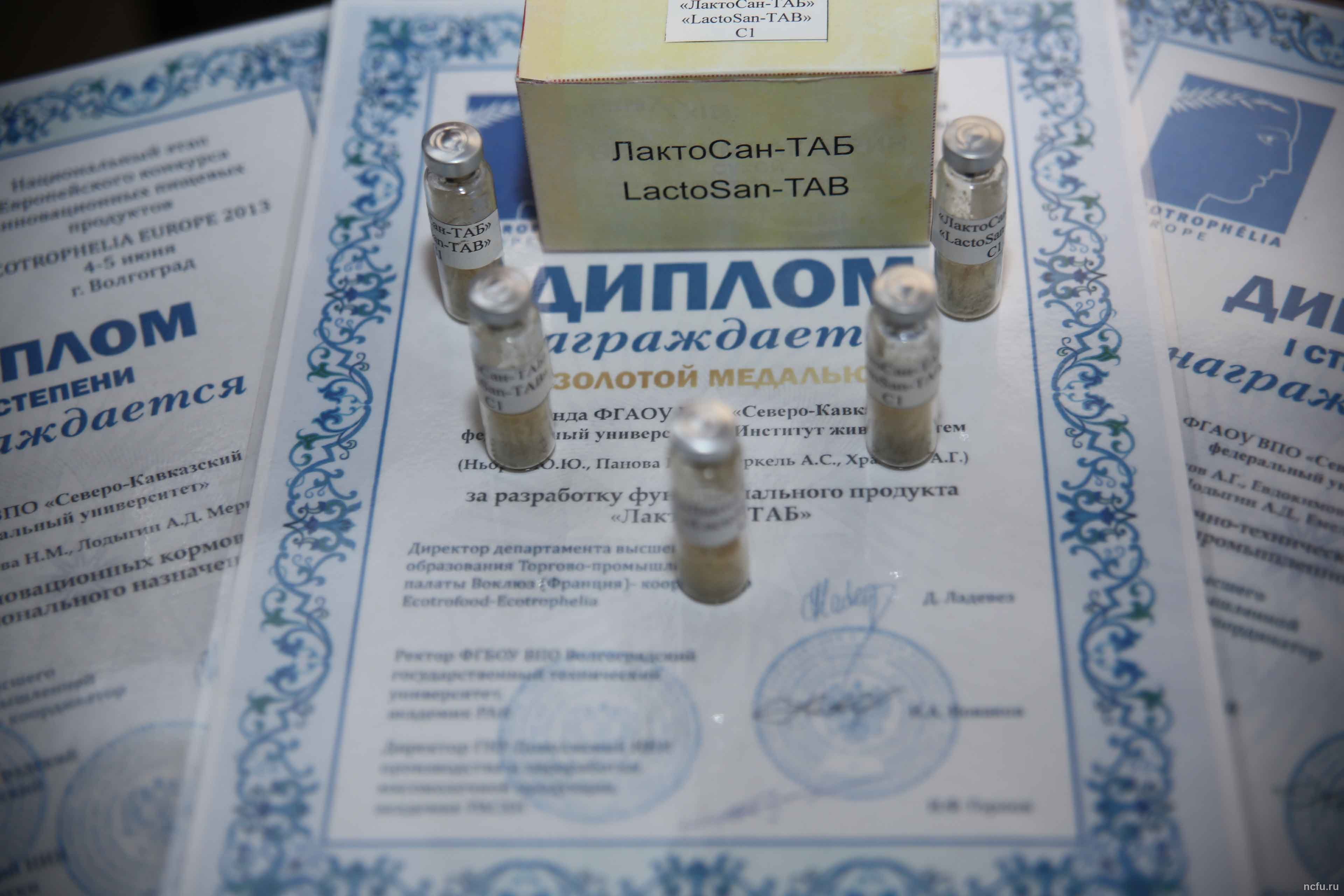Молодые учёные СКФУ на I Фестивале науки