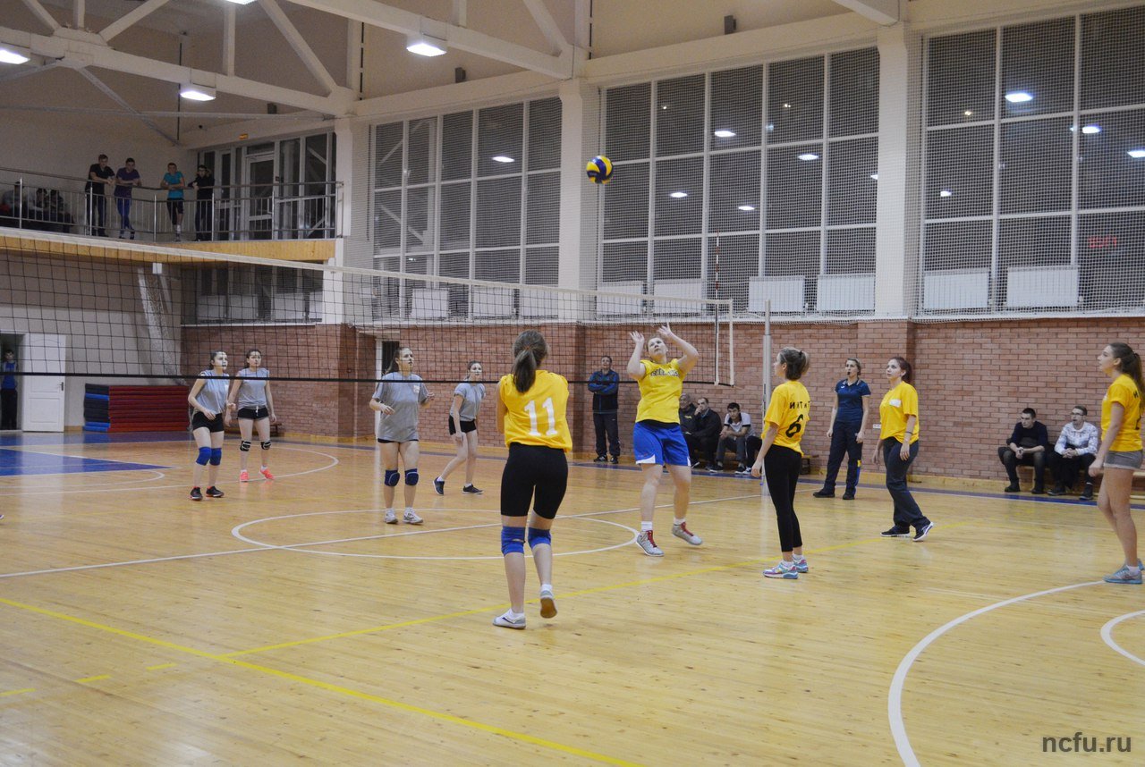 Определены победители Кубка ректора