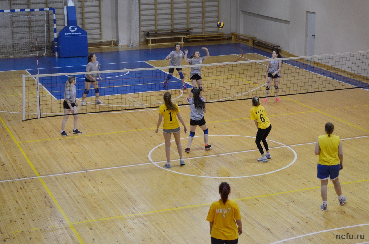 Определены победители Кубка ректора