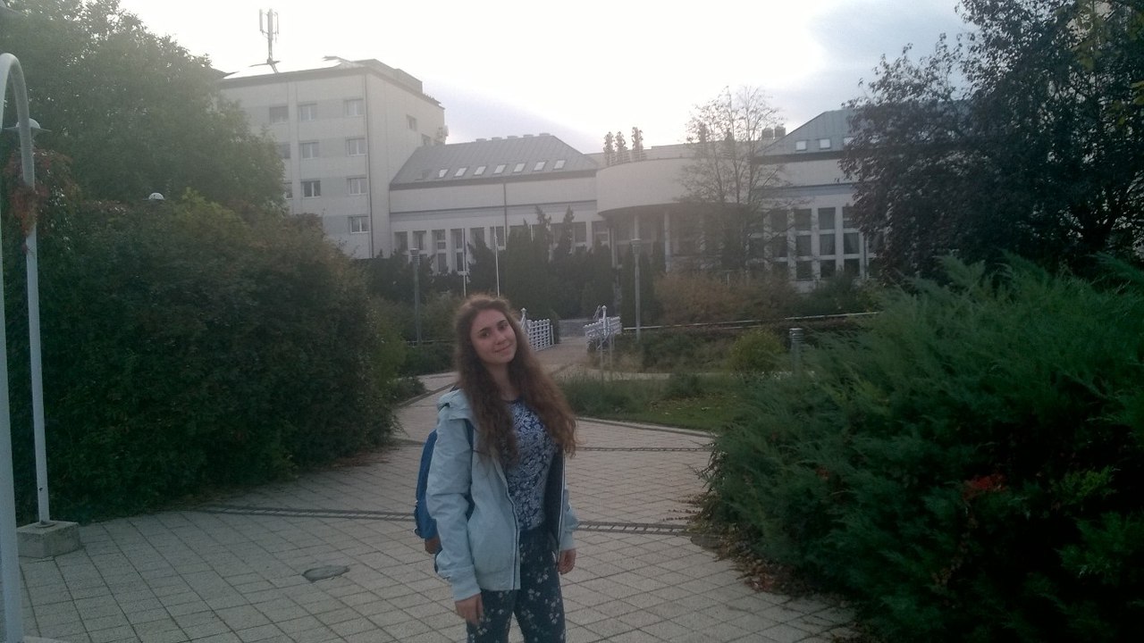 Стажировка в Венгрию