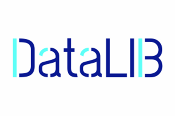 logo_datalib_white