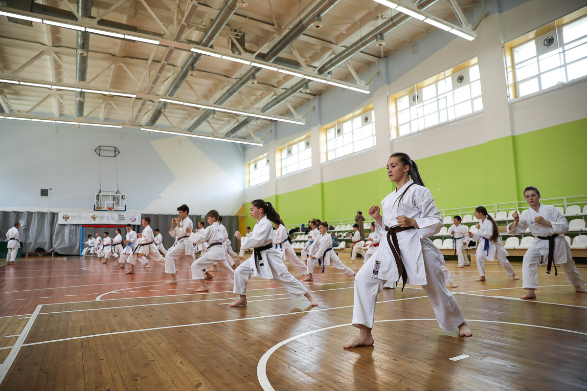v-skfu-proshyol-seminar-po-kata-ncfu-ru-02